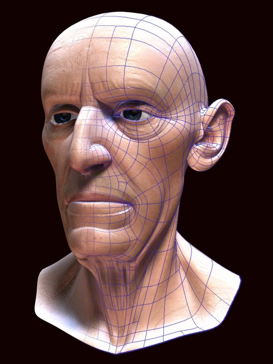 T-Splines - portrét