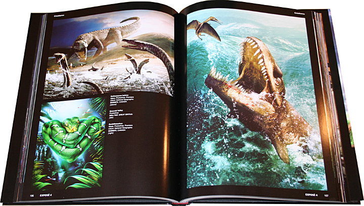 Ballistic Publishing - EXPOSÉ 4 - otevřená